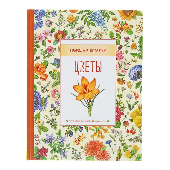 Природа в деталях «Цветы»