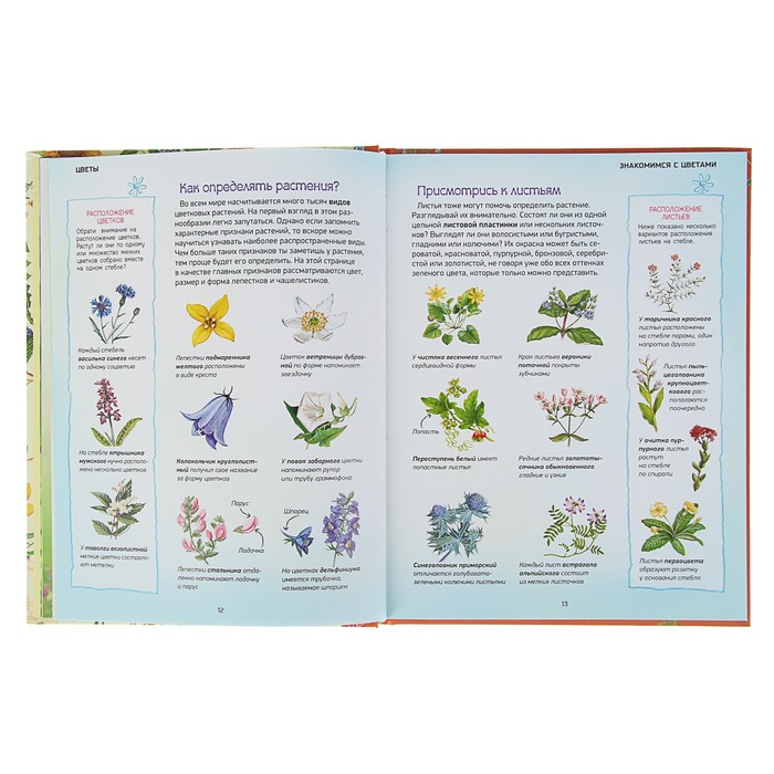 Природа в деталях «Цветы»