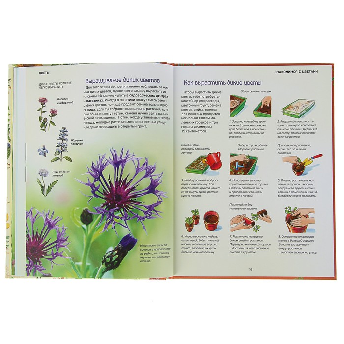 Природа в деталях «Цветы»