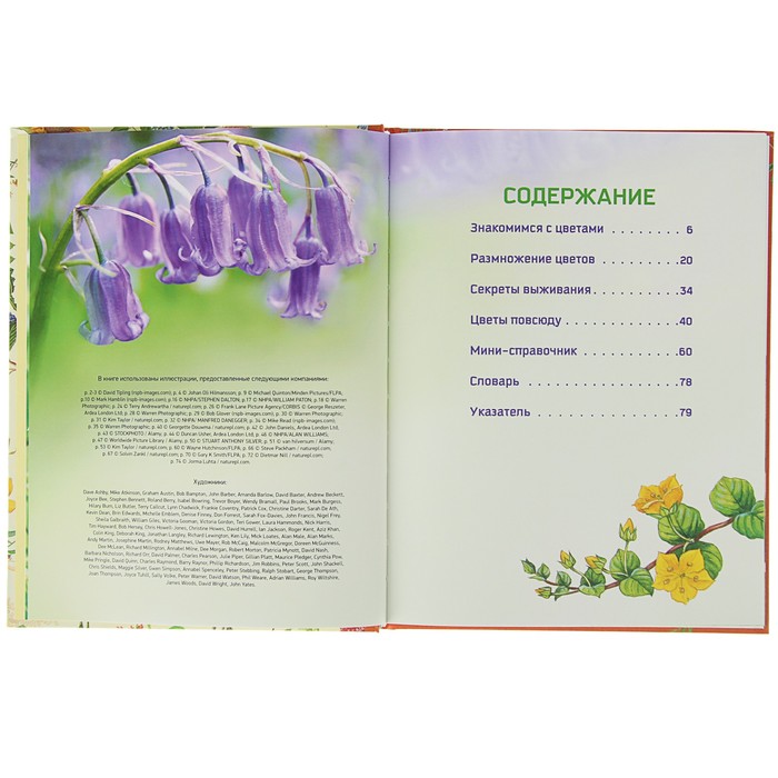 Природа в деталях «Цветы»