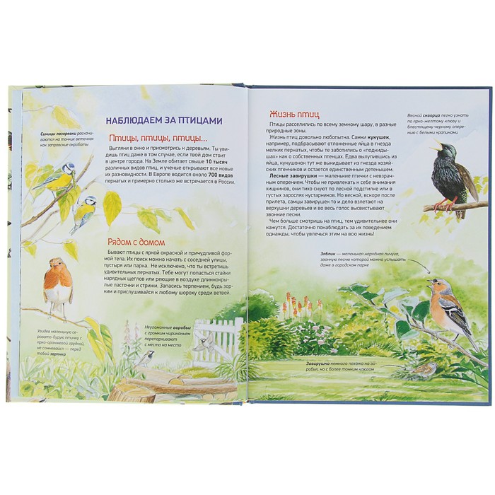 Природа в деталях «Птицы»