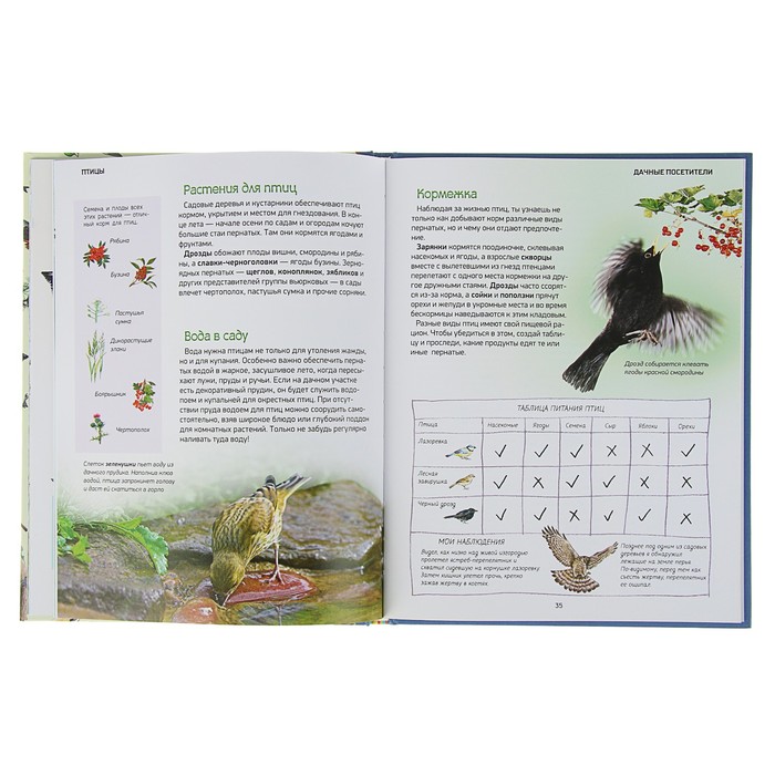 Природа в деталях «Птицы»