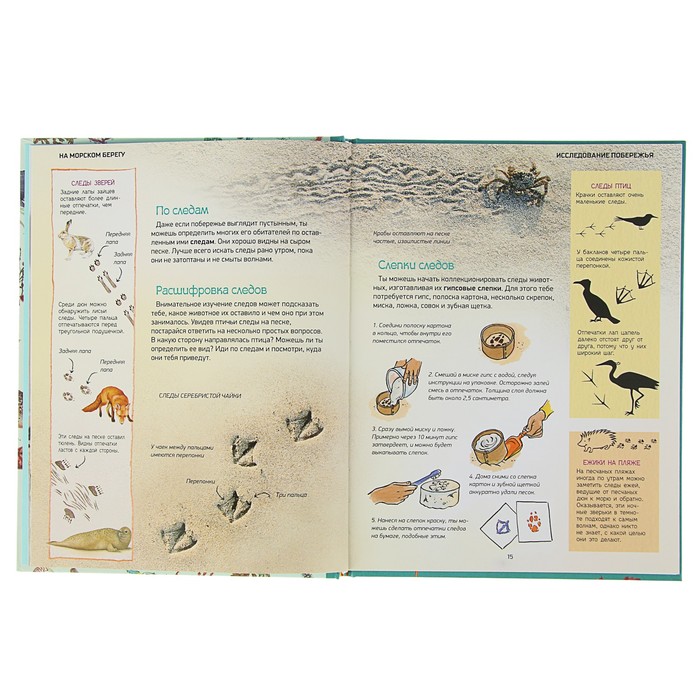 Природа в деталях «На морском берегу»