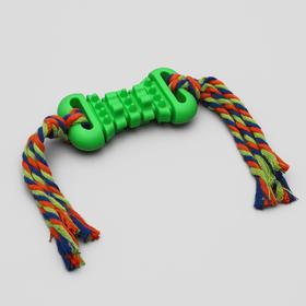 

Игрушка жевательная с канатом "Косточка массажная", косточка 11,5 см, микс цветов