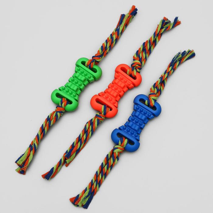 Игрушка жевательная с канатом "Косточка массажная", косточка 11,5 см, микс цветов