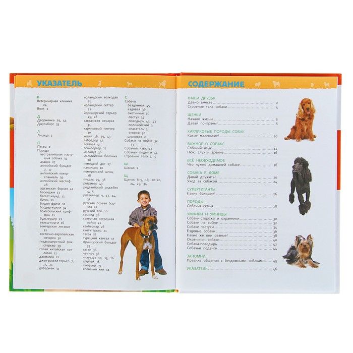 Энциклопедия для детского сад «Собаки и щенки»