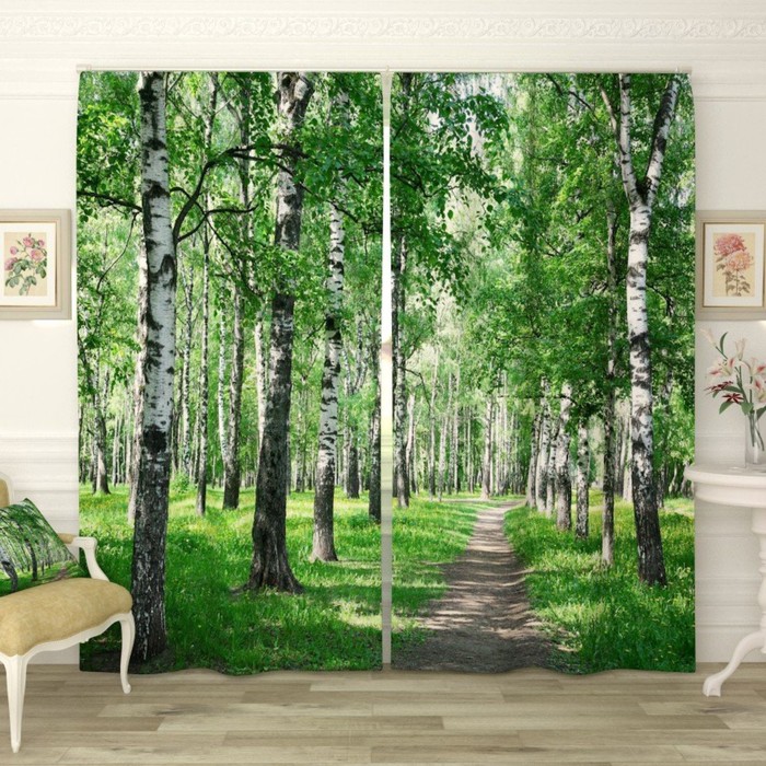 Фотошторы "Берёзовая аллея", размер 150х260 см-2 шт., габардин