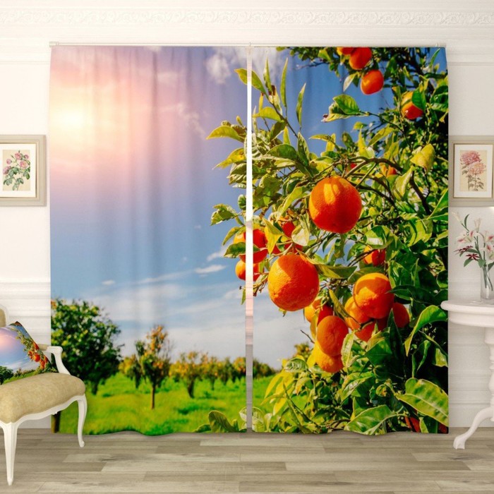 Фотошторы "Спелые мандарины", размер 150х260 см-2 шт., габардин