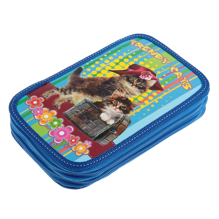 Пенал 2 секции 120*195 лам.карт П26/2 дев "Тренди Кэт" объем 31П25/2 252031