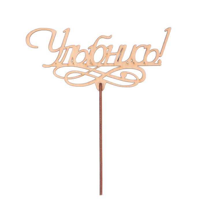 Топпер "Улыбнись" из фанеры, 17х6 см (ТПР-359)