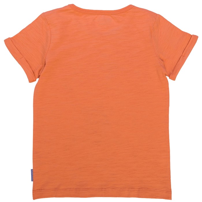 Футболка для мальчика, рост 140 см, цвет оранжевый 122-311-18