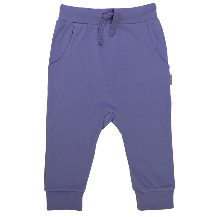 Бриджи для мальчика, рост 134 см, цвет фиолетовый 122-336-09