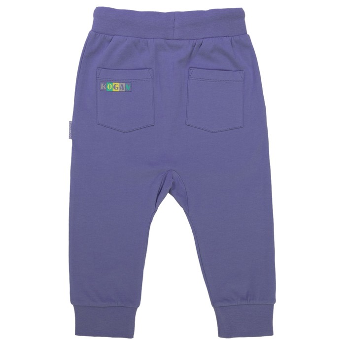 Бриджи для мальчика, рост 134 см, цвет фиолетовый 122-336-09