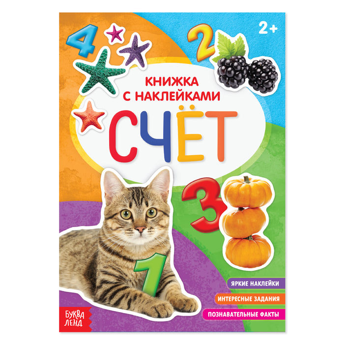 Книжка с наклейками "Счёт" с познавательными фактами12 стр.