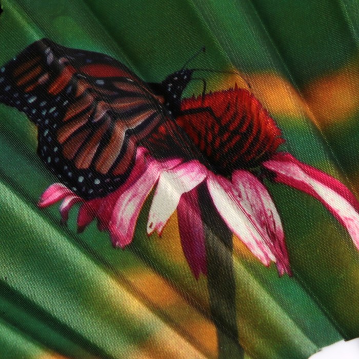 Веер пластик "Бабочки на гербере" изогнутый каркас 23 см