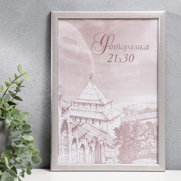 Фоторамка сосна с14  21х30  серебро