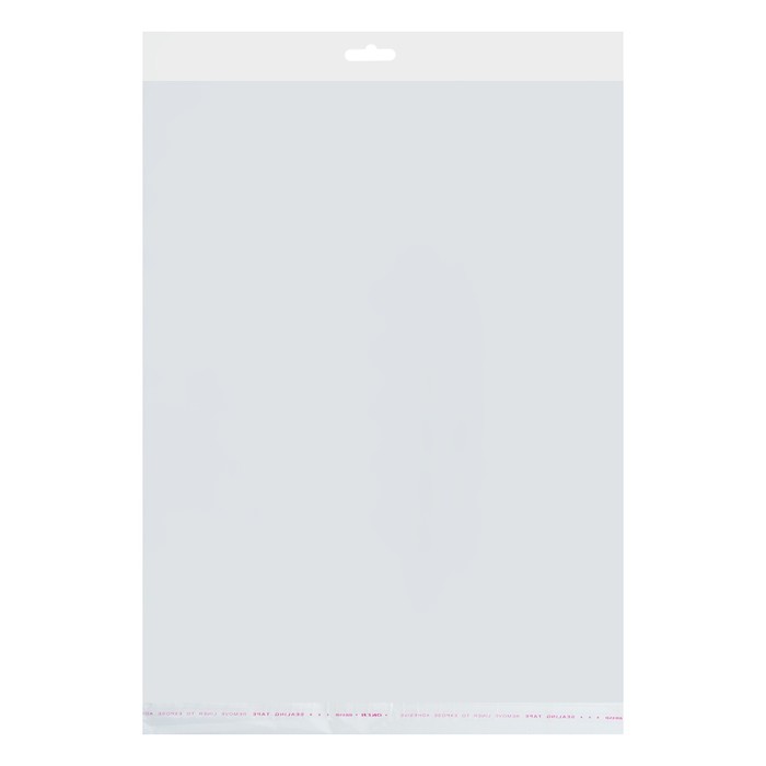 Пакет с липкой лентой 35 х 48/4/4 см, еврослот, 25 мкм