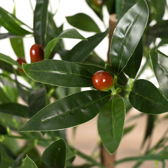 Дерево искусственное "Зизифус" 120 см