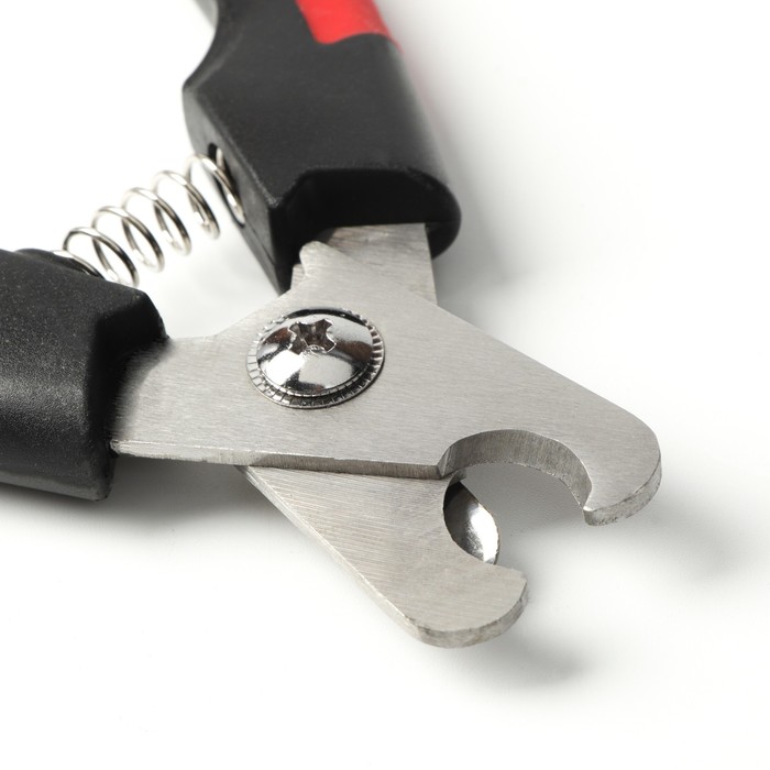 фото Набор по уходу за когтями: когтерез боковой (отверстие 13мм) и пилка, микс цветов пижон