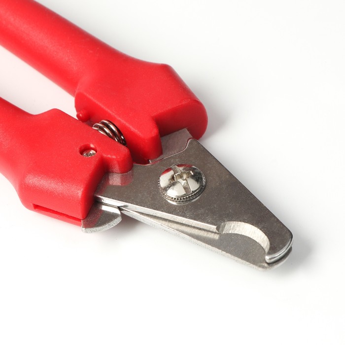 Набор по уходу за когтями: когтерез боковой (отверстие 14мм) и пилка, микс цветов