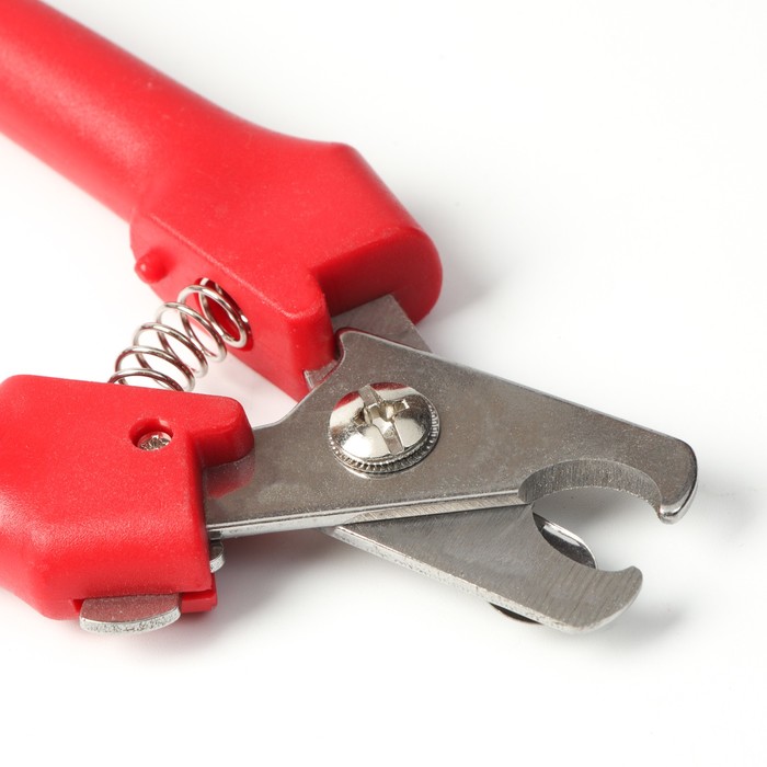 Набор по уходу за когтями: когтерез боковой (отверстие 14мм) и пилка, микс цветов