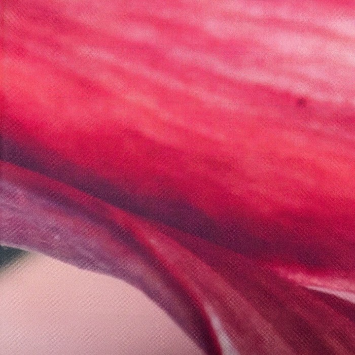 Фотошторы "Тайный Знак" 145х260 см 2шт, габардин 160гр/м2, пэ100%