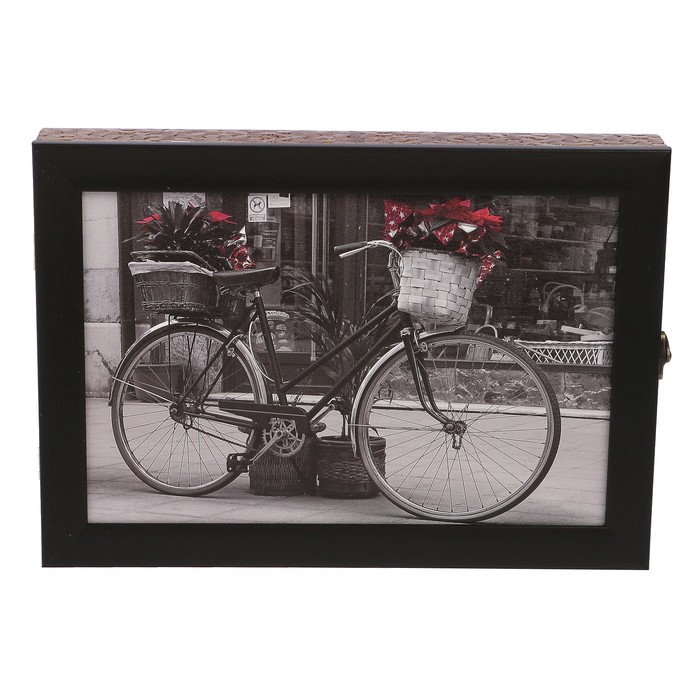 Ключница пластик "Велосипед" 25х35 см