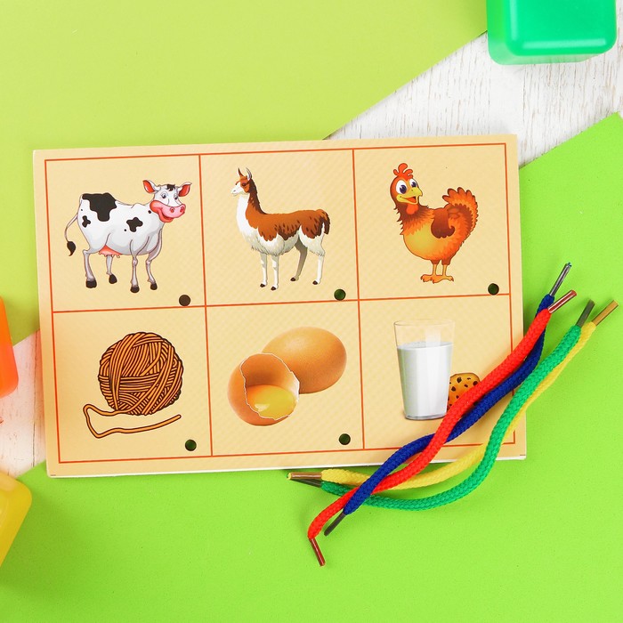 Шнуровка развивающая "Изучаем животных"