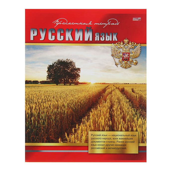 Тетрадь предметная "Русский язык. Красный стиль" , 48 листов линейка, обложка мелованный картон,