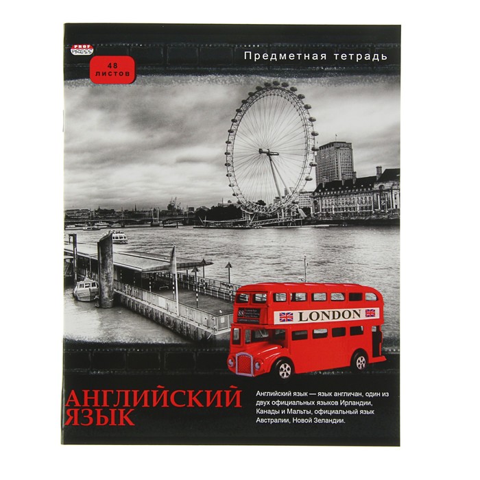 Тетрадь предметная "Английский. Контрасты", 48 листов клетка, обложка мелованный картон, выборочный лак