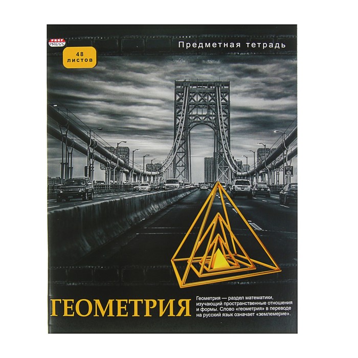 Тетрадь предметная "Геометрия. Контрасты", 48 листов клетка, обложка мелованный картон, выборочный лак