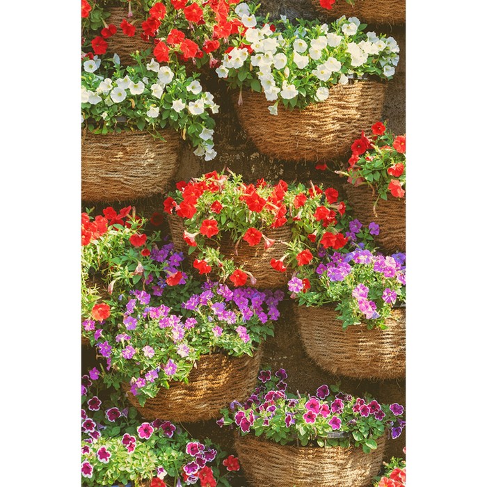 Фотообои Moda Interio "Клумбы на стене-2" (из 2-х листов), 1,8 х 2,7м