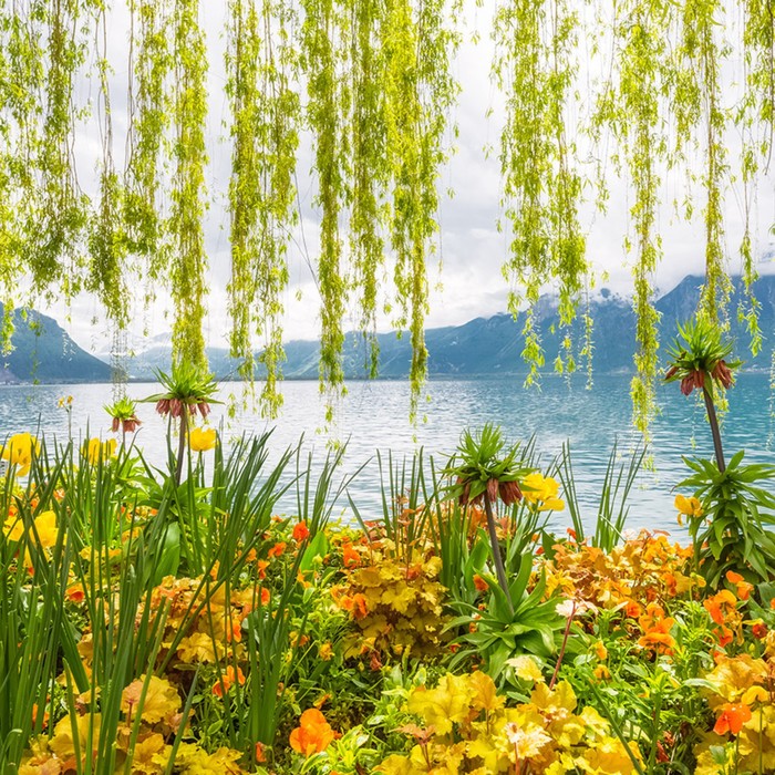 Фотообои Moda Interio "Берег Монтре" (из 3-х листов), 2,7 х 2,7м