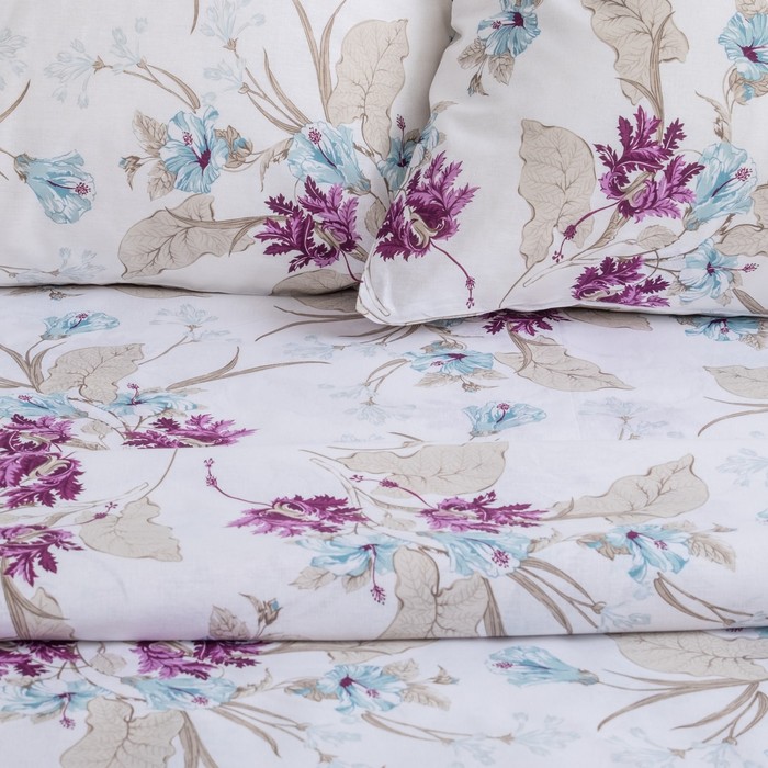 Постельное бельё "Этель" евро Оксалис 200х217 см, 220х240 см, 70х70 см - 2 шт, 100% хл, бязь