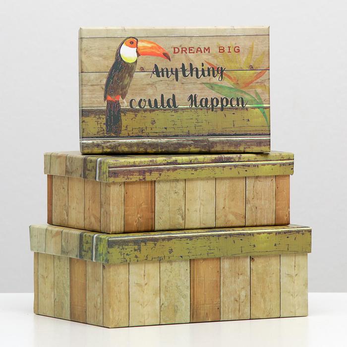 Набор коробок 3в1 "Какаду", 22 х 16 х 8.5 - 18 х 12 х 5.5 см