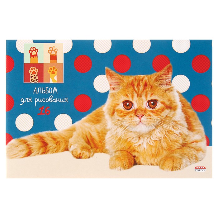 Альбом для рисования А5 16 листов "Рыжий кот на фоне кружочков" обложка картон хромэрзац