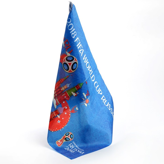 Флаг автомобильный с креплением Россия 2018 FIFA World Cup Russia™, 45 х 30 см