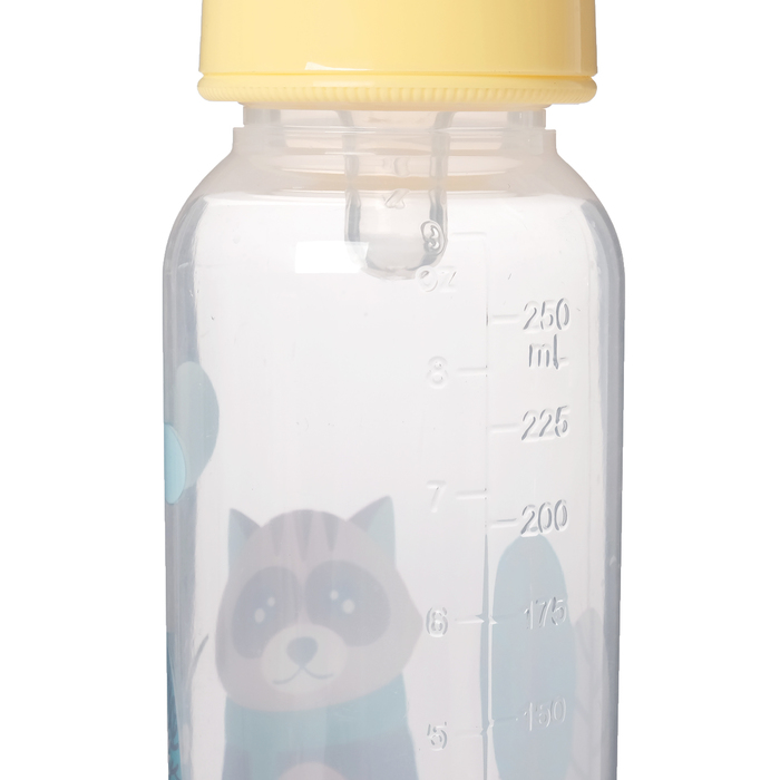 Набор детский «Первый подарок малышу», 6 предметов: бутылочка для кормления 250 мл, нагрудник, ложка, вилка, расчёска, щётка, в подарочной упаковке