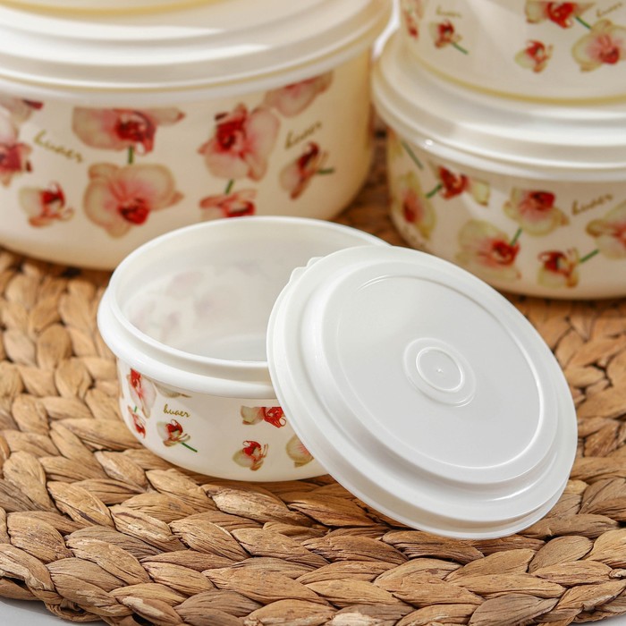 Набор ланч-боксов "Орхид", 5 шт: 17х8,5/15,5х7,5/14х6,5/11х5,5/10х5 см