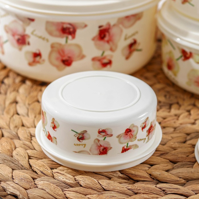 Набор ланч-боксов "Орхид", 5 шт: 17х8,5/15,5х7,5/14х6,5/11х5,5/10х5 см