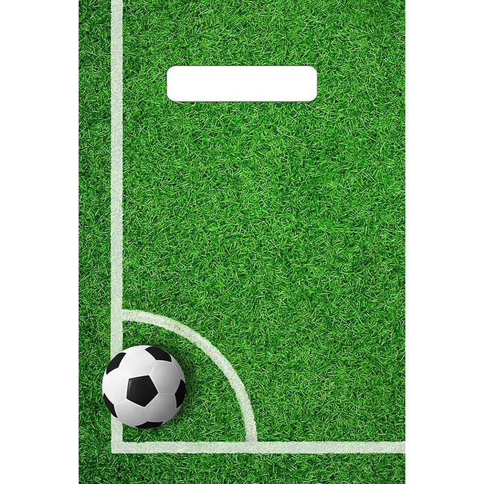 Пакет "Угловой", полиэтиленовый с вырубной ручкой, 30 х 20 см, 30 мкм