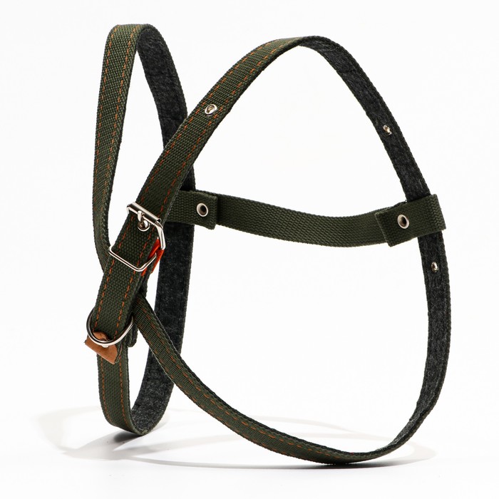 Шлейка брезентовая на фетре многоразмерная, 2,5 см, ОШ и ОГ до 204 см