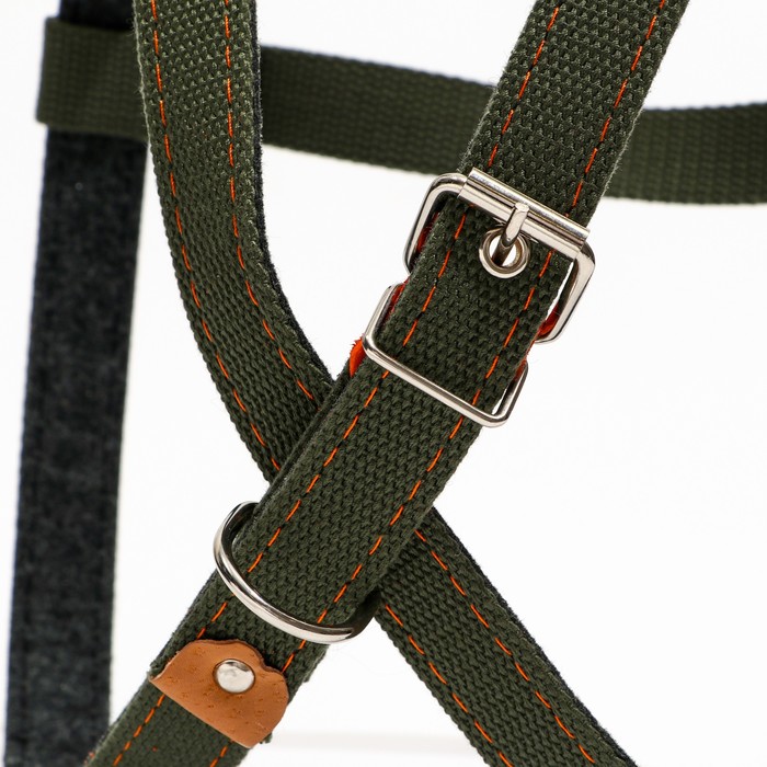 Шлейка брезентовая на фетре многоразмерная, 2,5 см, ОШ и ОГ до 204 см