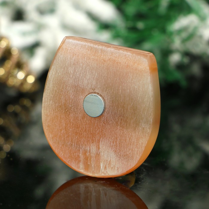 Магнит «Поросёнок в подкове», на любовь, 4,5х4,2 см, селенит