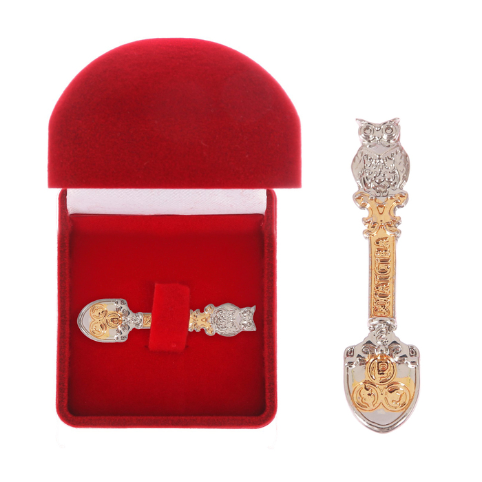 Ложка-загребушка в подарочной коробке "Денежная сова"