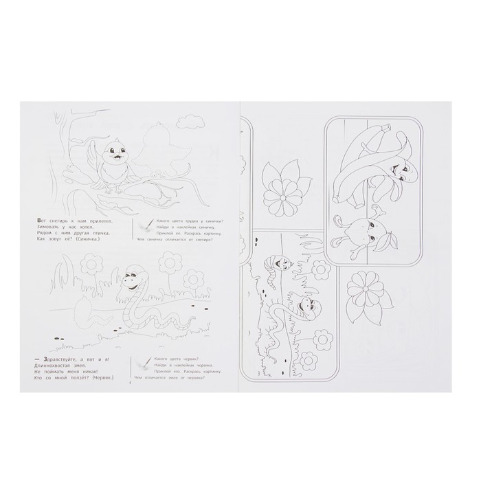 Раскраски-аппликации для самых маленьких. Чем отличаются: книжка-раскраска