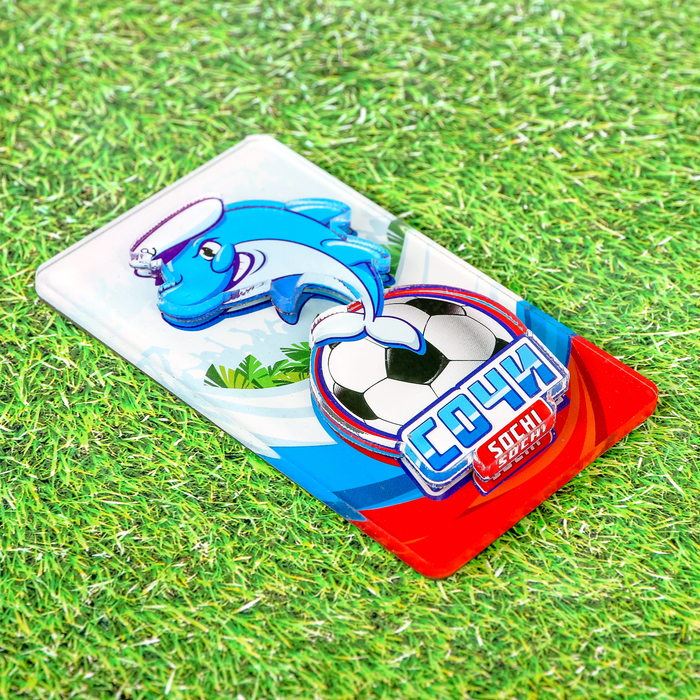 Магнит «Сочи» (дельфин), 4.5 х 7.5 см