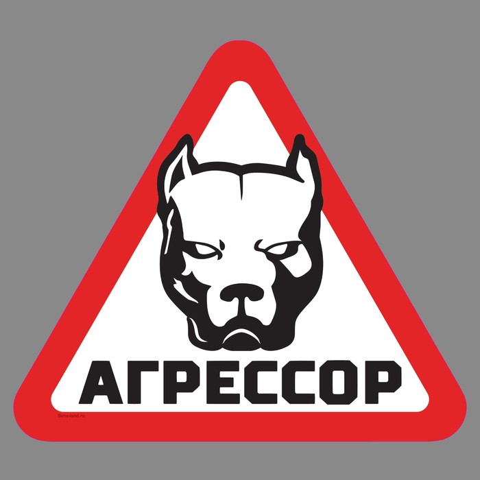 Наклейка на авто "Агрессор"