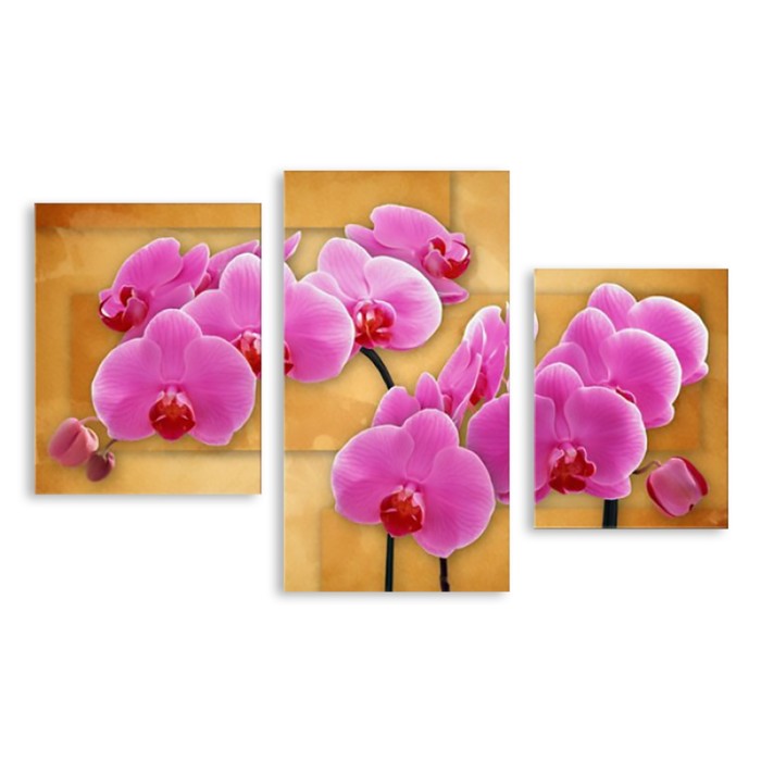 Модульная картина "Розовые орхидеи" 150*93 см