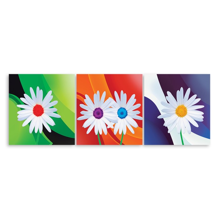 Модульная картина "Яркие ромашки" 90*31 см